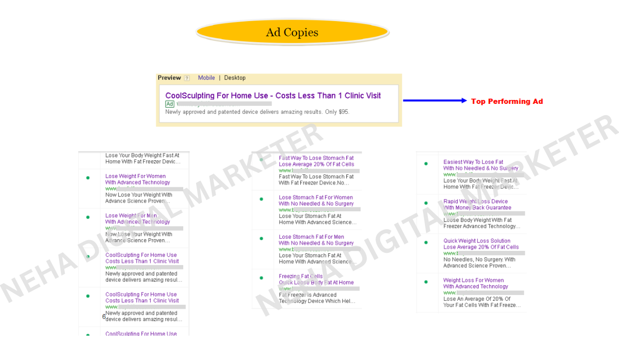 Google Ad Course Google & Meta Ads for Dental, Healthcare & Wellness Businesses | Eviron ...